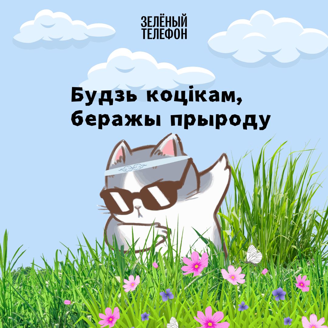 Правила отдыха на природе в Беларуси: как провести время без вреда для экологии и кошелька