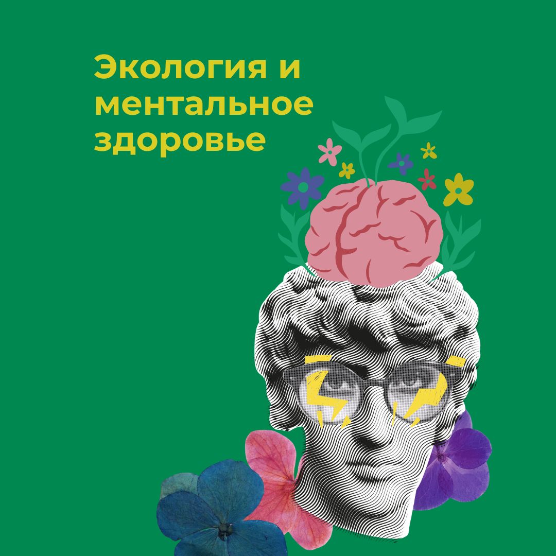 Диджитал-привычки, которые сохранят природу и ваше ментальное здоровье